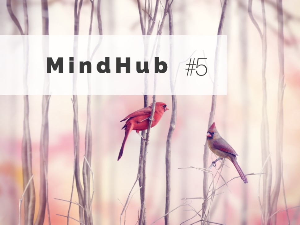 MindHub #5 w Gdansku