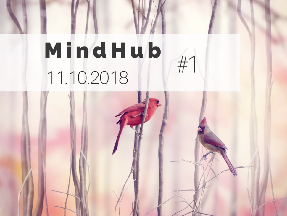 MindHub #1 Gdansk