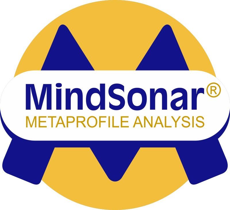 Mindsonar Warsztaty Certyfikacyjne